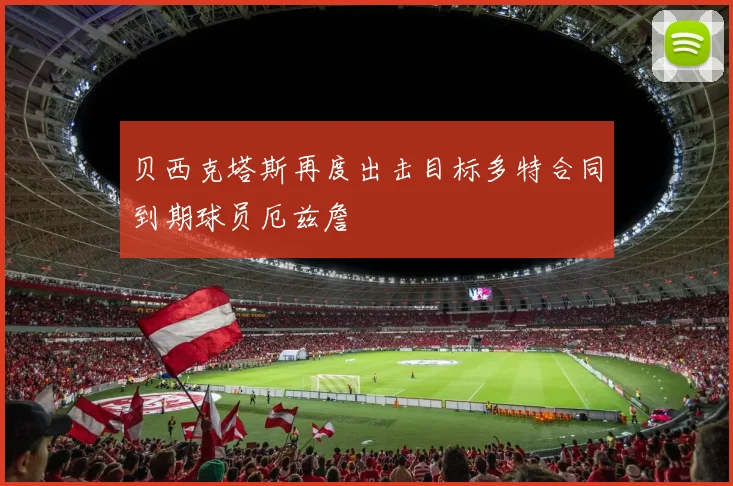 贝西克塔斯再度出击目标多特合同到期球员厄兹詹