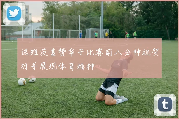 诺维茨基赞华子比赛前八分钟祝贺对手展现体育精神